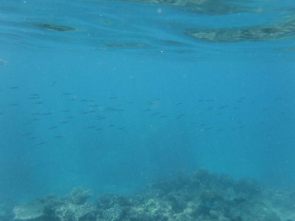 Great Barrier Reef