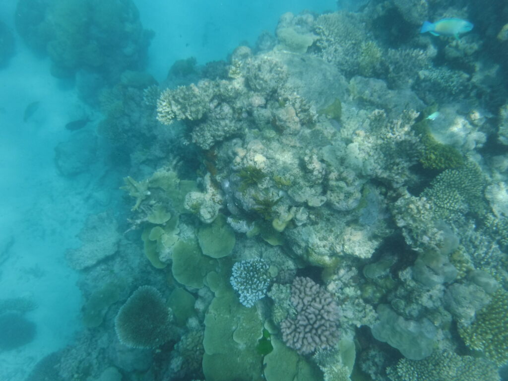 Great Barrier Reef