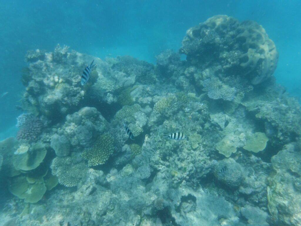 Great Barrier Reef