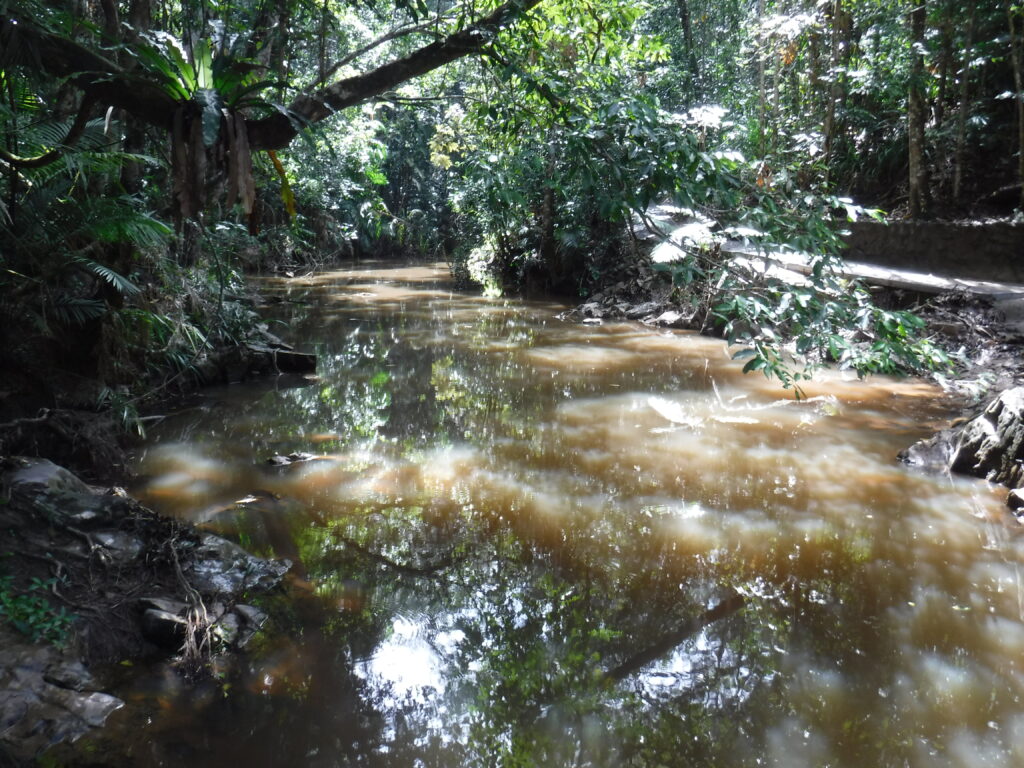 The Kuranda Scenic Railway