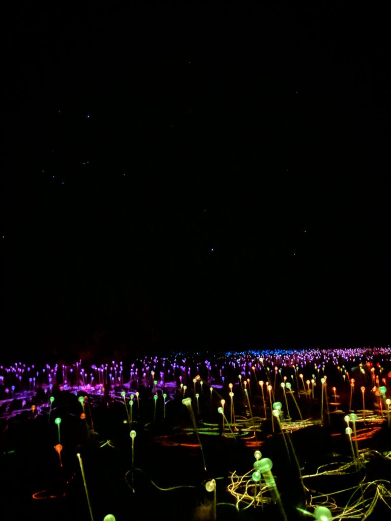 Field of Light