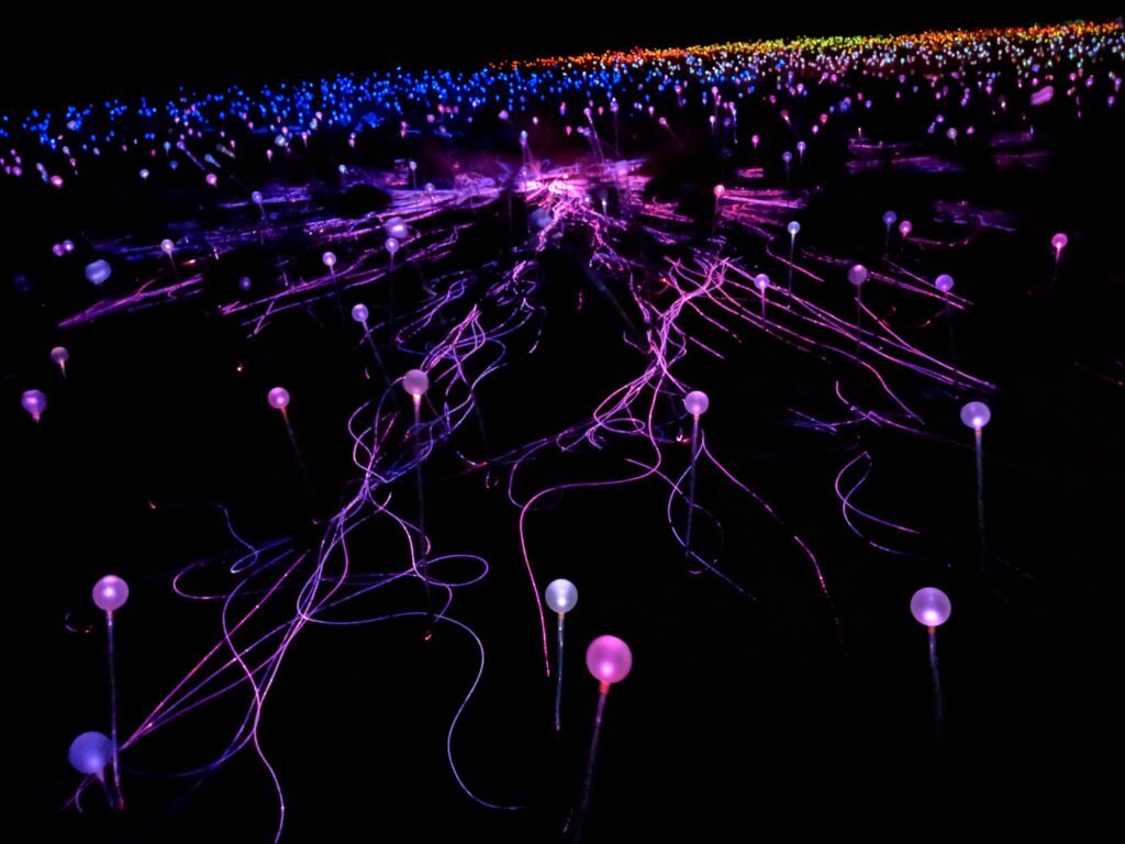 Field of Light